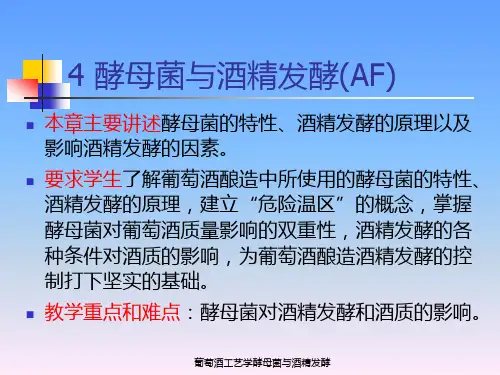 葡萄酒工艺学酵母菌与酒精发酵课件