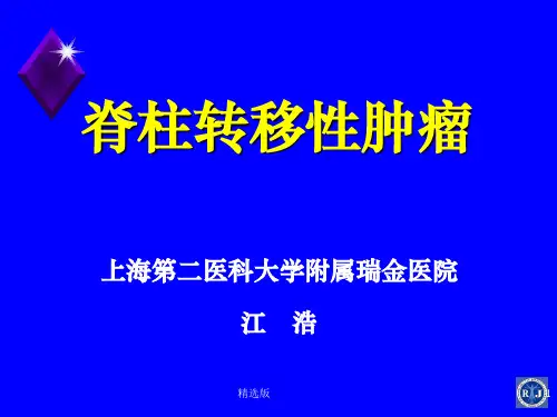 脊柱转移性肿瘤ppt课件