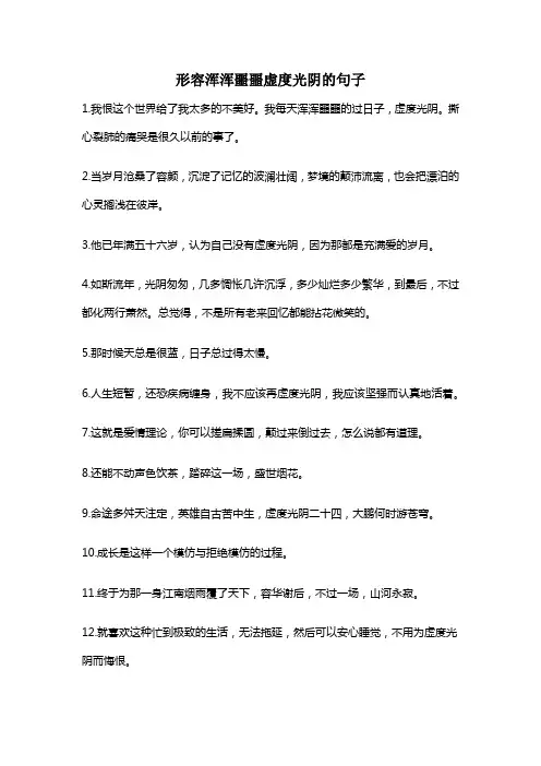 形容浑浑噩噩虚度光阴的句子