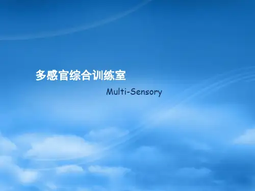 多感官互动训练室培训