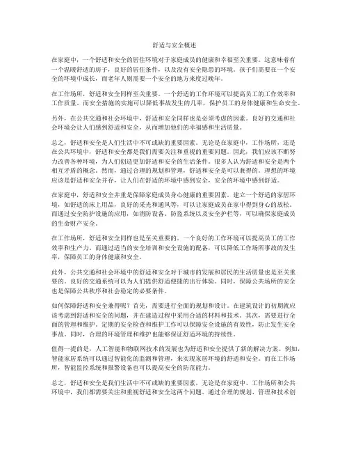 舒适与安全概述