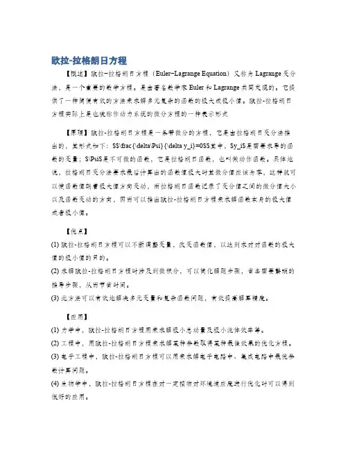 欧拉-拉格朗日方程