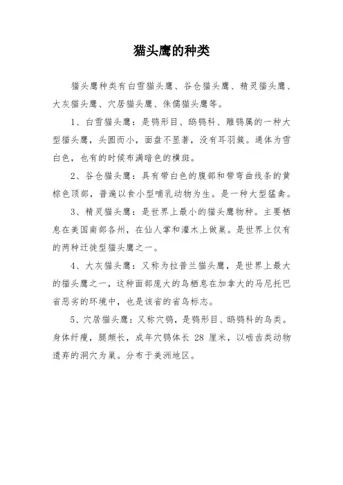 猫头鹰的种类