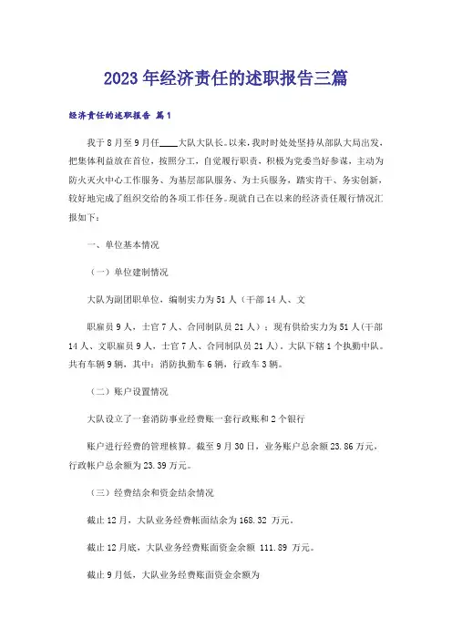 2023年经济责任的述职报告三篇