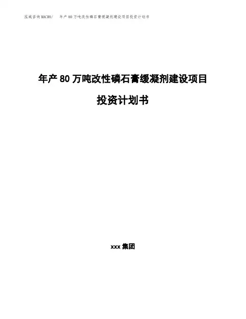 新建年产80万吨改性磷石膏缓凝剂建设项目投资计划书(立项)