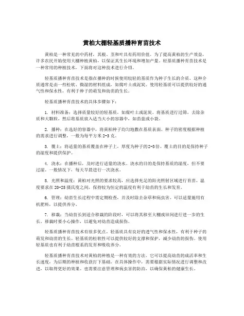 黄柏大棚轻基质播种育苗技术
