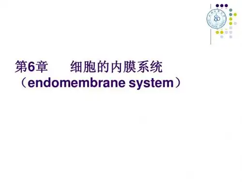 细胞生物学6章 内膜