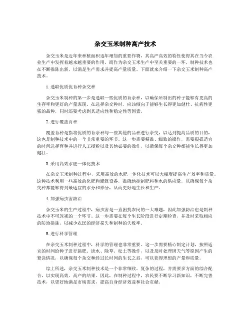 杂交玉米制种高产技术