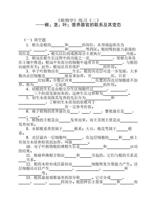 《植物学》3、4、5、6章练习(二)