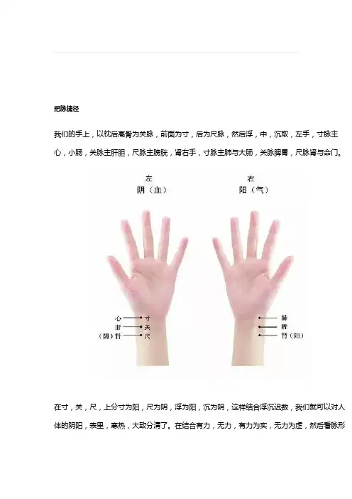 如何把脉看病图解 简单易学