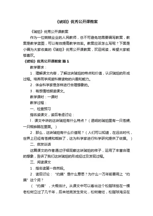 《琥珀》优秀公开课教案