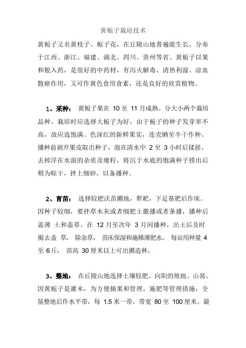 黄栀子栽培技术汇总