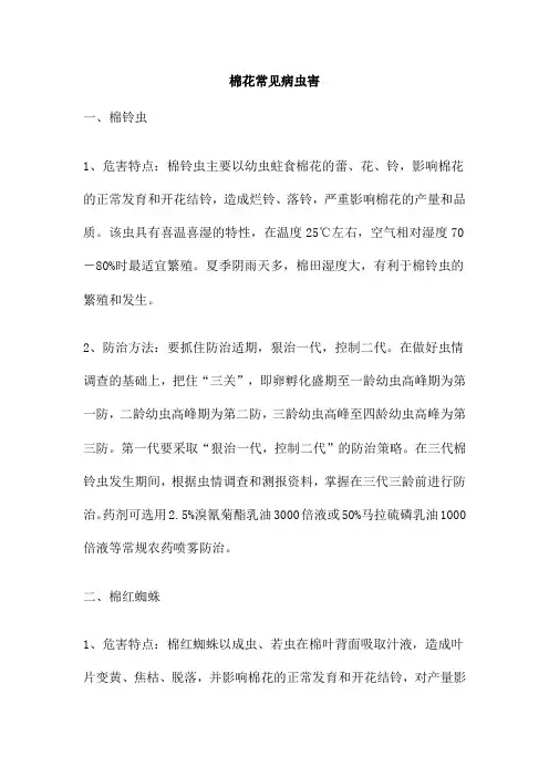 棉花常见病虫害