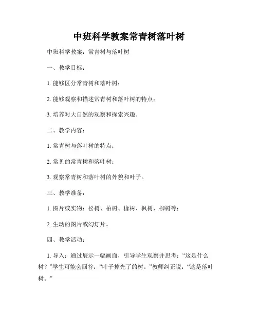中班科学教案常青树落叶树