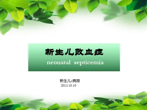 新生儿败血症 ppt课件