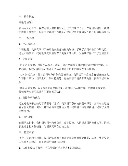 电商文案策划转正报告