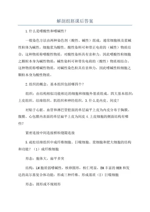 解剖组胚课后答案