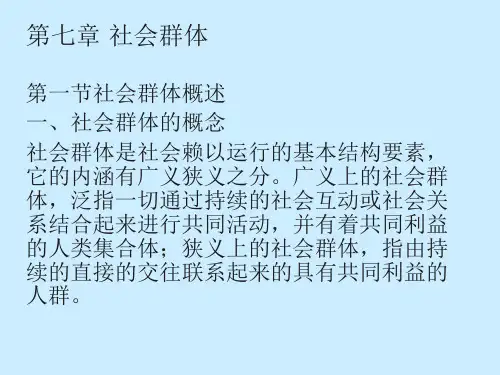 社会群体 PPT课件