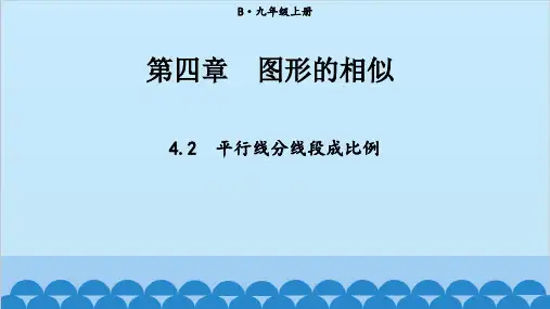北师大版数学九年级上册 4.2 平行线分线段成比例  课件(共23张PPT)
