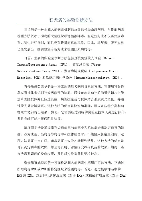 狂犬病的实验诊断方法