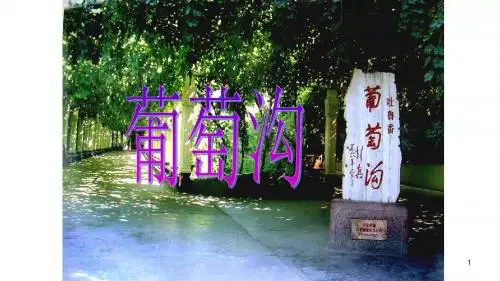 最新二年级语文上册课件-11 葡萄沟 -人教版部编版(共27张PPT)