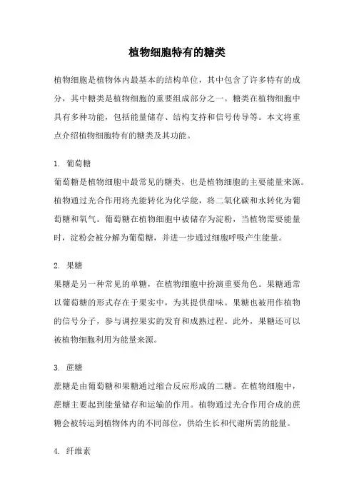 植物细胞特有的糖类