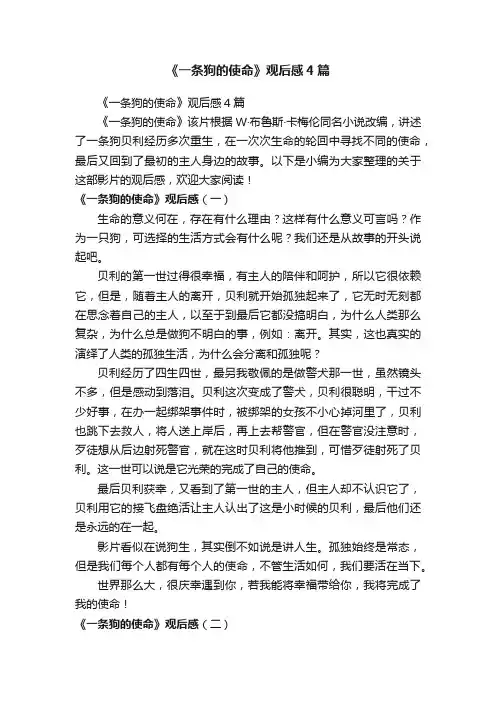 《一条狗的使命》观后感4篇