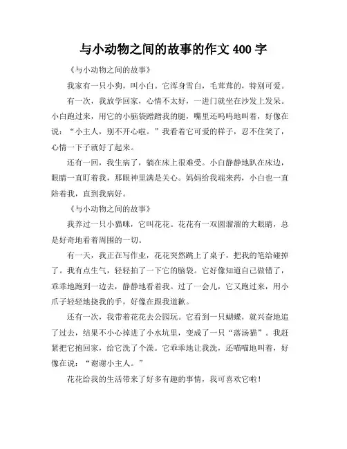 与小动物之间的故事的作文400字