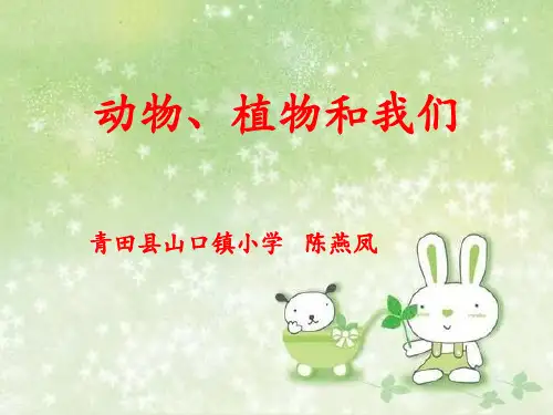 动物植物和我们PPT课件