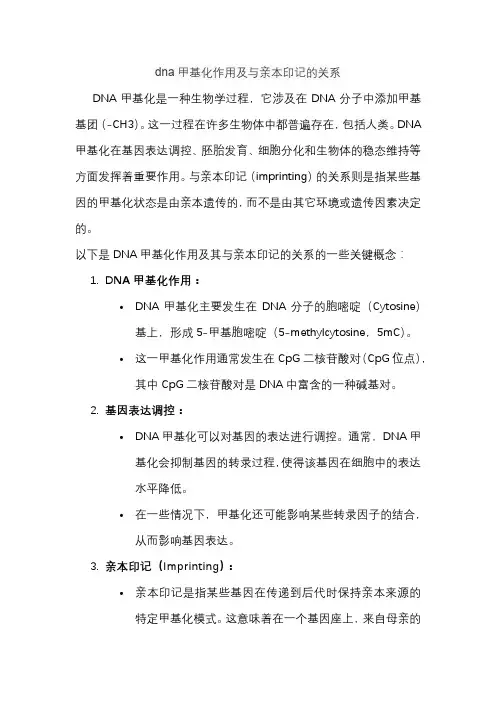 dna甲基化作用及与亲本印记的关系