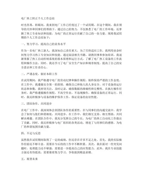 电厂热工转正个人工作总结