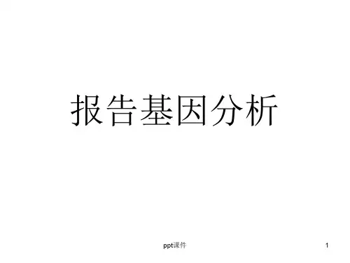 双荧光素酶报告基因  ppt课件