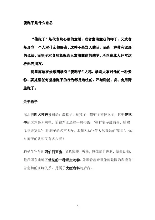 傻狍子是什么意思