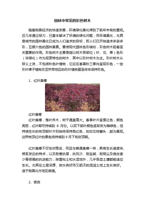 园林中常见的彩色树木