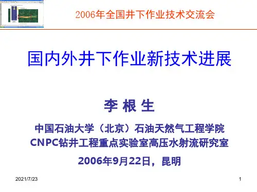 2006国内外井下作业新技术进展PPT课件