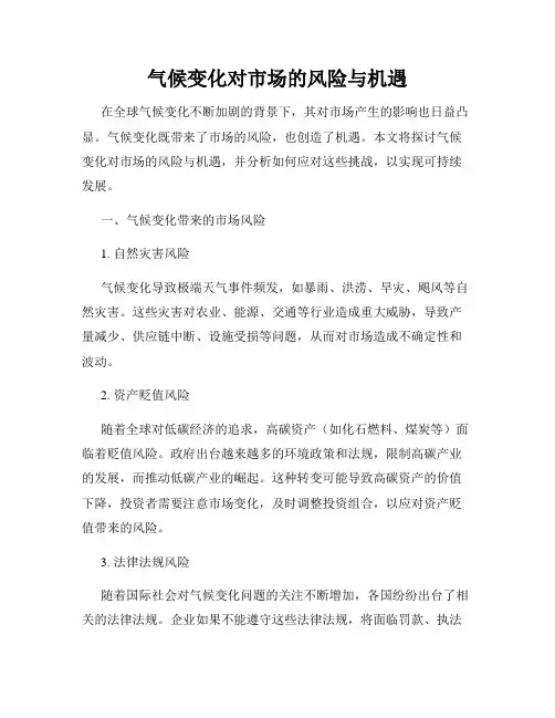 气候变化对市场的风险与机遇