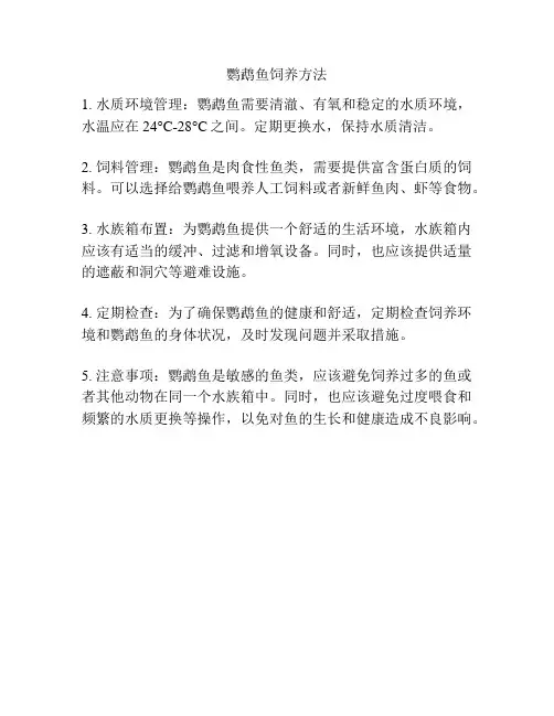 鹦鹉鱼饲养方法