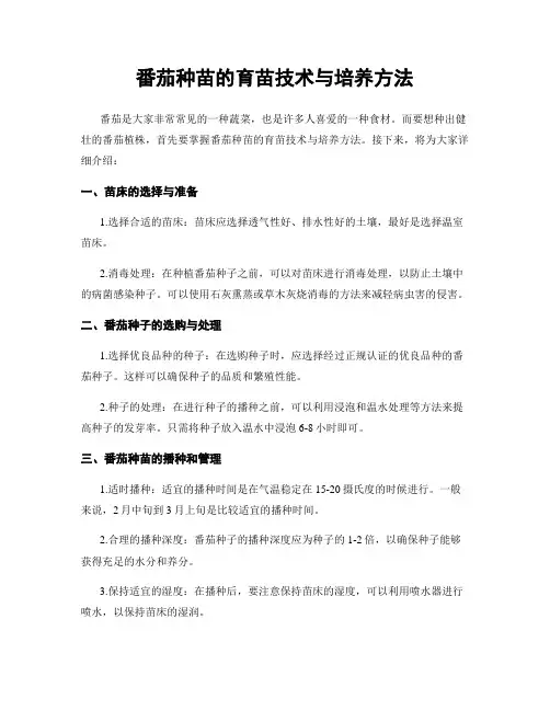 番茄种苗的育苗技术与培养方法