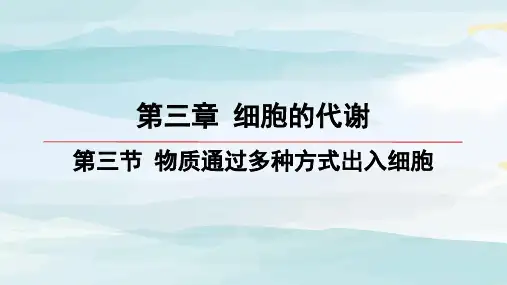 第3节-物质通过多种方式出入细胞高中生物必修一浙科版