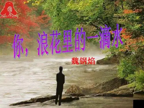 你,浪花的一滴水