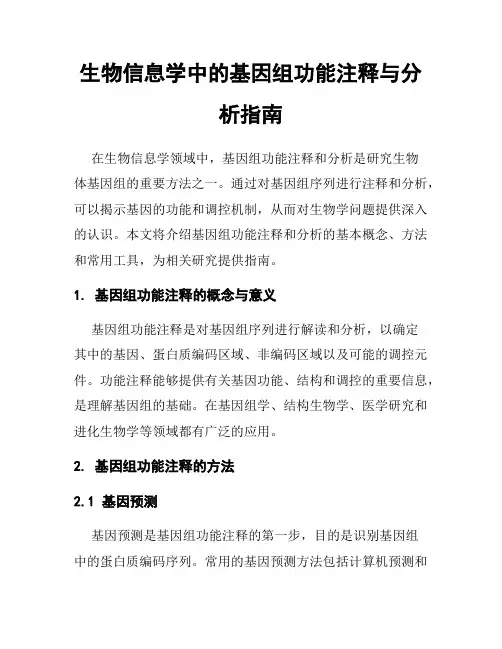 生物信息学中的基因组功能注释与分析指南