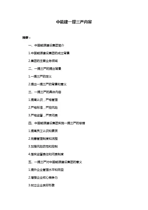 中能建一提三严内容