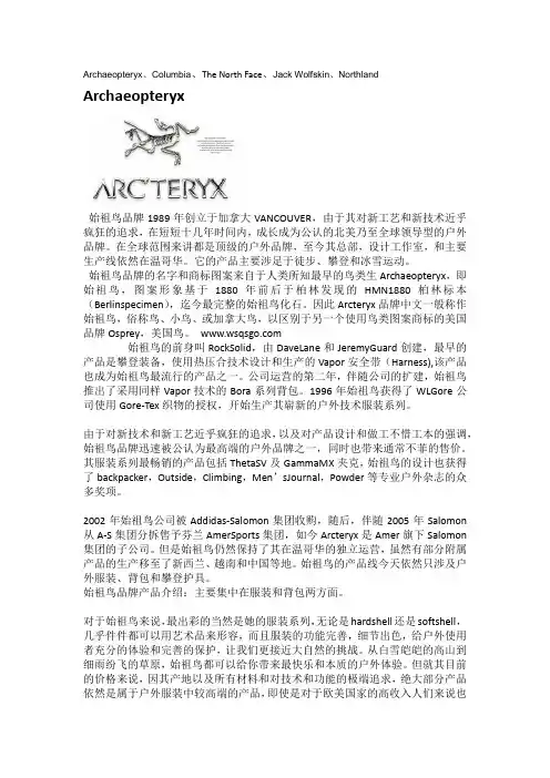 五个国际运动品牌