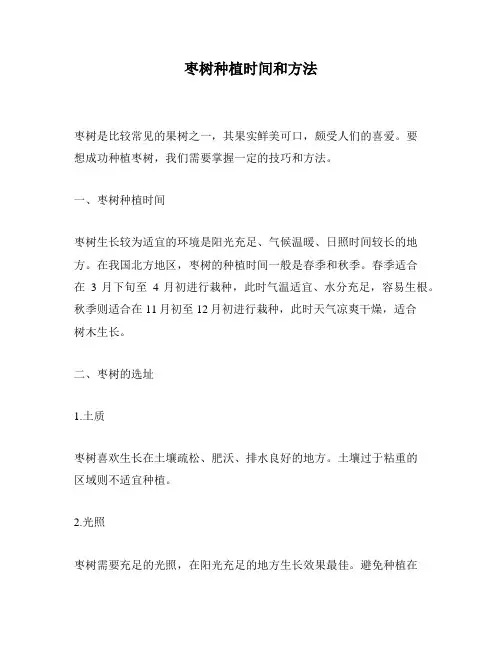 枣树种植时间和方法