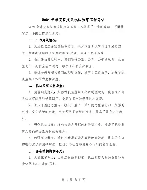 2024年市安监支队执法监察工作总结（二篇）