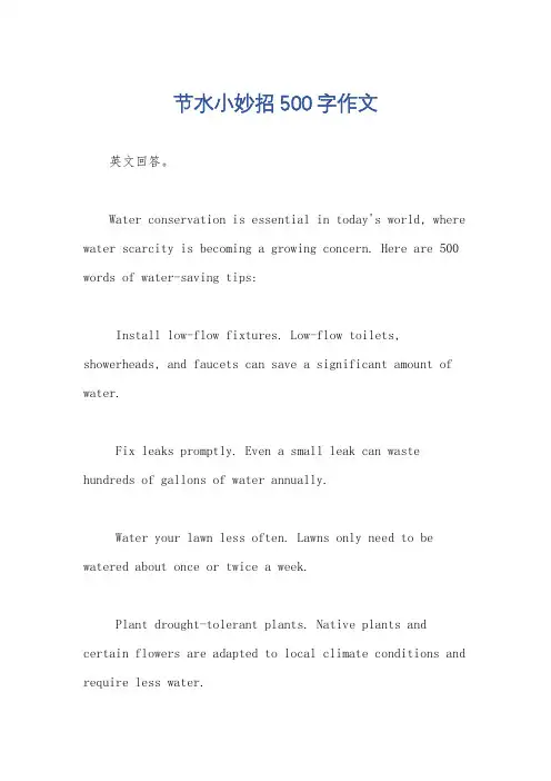 节水小妙招500字作文