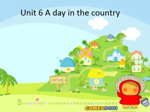剑桥国际少儿英语KB3 Unit6 A day in the country精编版