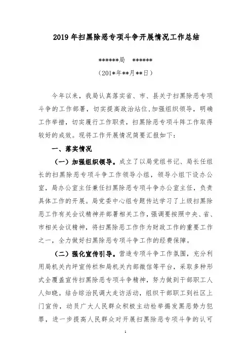 2019年扫黑除恶专项斗争开展情况工作总结