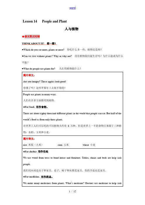 八年级英语下册Lesson14教材内容详解冀教版