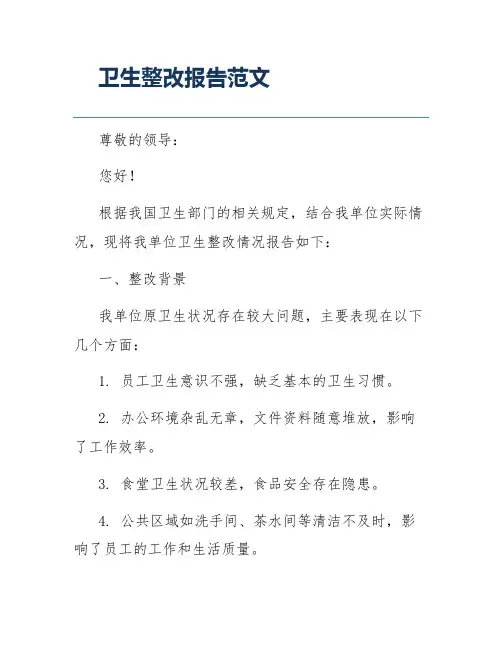 卫生整改报告范文
